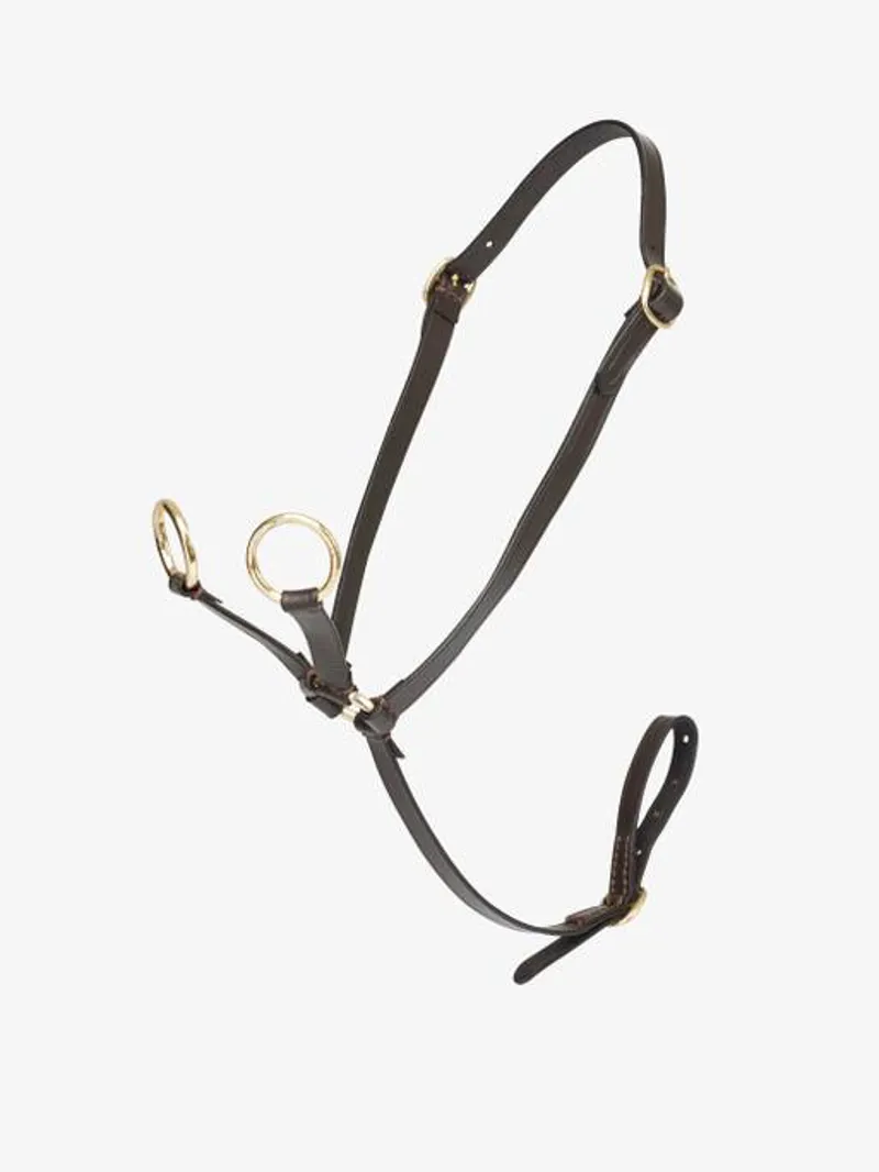 LeMieux Toy Pony Martingale in Brown